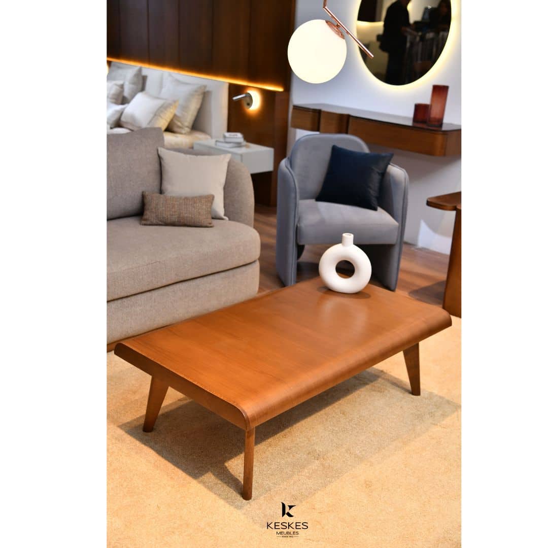 fauteuil fusion (2)